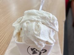 -野人先生Gelato(上海长宁龙之梦店)