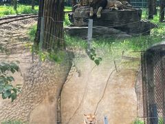 -秦皇岛野生动物园