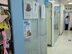 -全心全意连锁动物医院·微创中心·内科急重症·心脏专科(丰管路店)