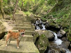 -藏龙百瀑风景区