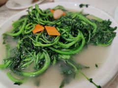 西洋菜-寻味顺德·南记酒家·传统顺德菜·鱼生(广源路店)