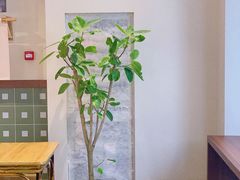 -面春山·传统老卤面(天隆寺店)