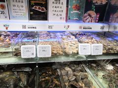 -超级物种·波龙工坊(国贸店)