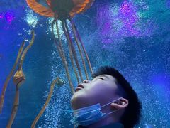 -沈阳海洋探索中心