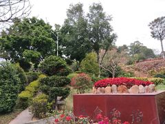 -仙岳公园