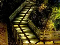 -福道