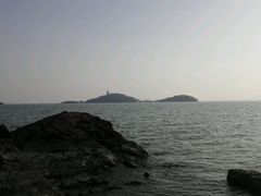 -上海市保健医疗中心(华东疗养院)
