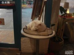 -Babycat私家御饼屋(龙头路一店)