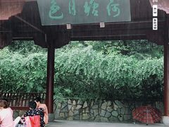 -铁山坪森林公园