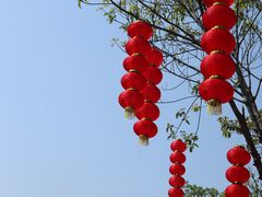 -番禺大夫山森林公园