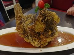 糖醋鲤鱼-老牌坊•鲁菜名店•地道济南菜(大观园商埠店)