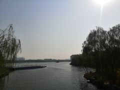 -大兴滨河森林公园