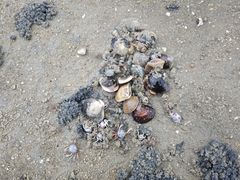 -北海金海湾红树林生态旅游区