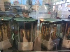 -一代烤翅王(大汉口店)
