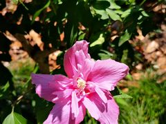 -白塘生态植物园