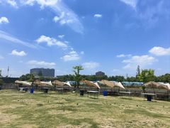 -栖露营camping·天幕烧烤·团建拓展·采摘营地
