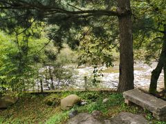 -黑河国家森林公园