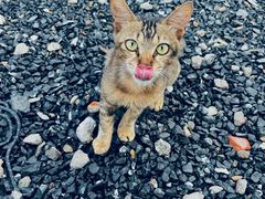 -DGE季风钓虾营地·团建·聚会