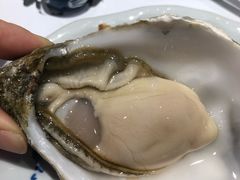 鲜生蚝-桥岚·巷子鲜河豚鱼(专门店)