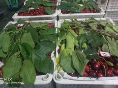 -菜园坝水果市场
