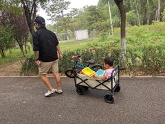 -东郊湿地公园