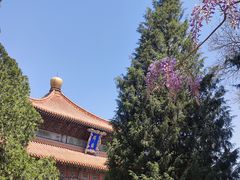 -北京国子监胡同