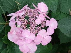 -常州古运河南大街文化旅游区-人民公园