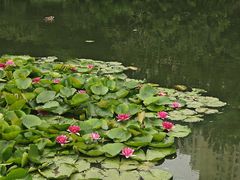 -前关湿地公园