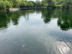 -百脉泉景区