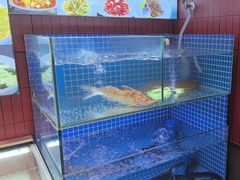 -王家大院·南京菜(湛江路总店)