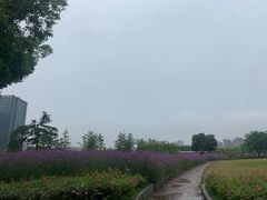 -杭州城北体育公园