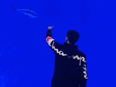 -华夏文旅西安度假区