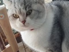 -世博家园十街坊