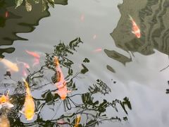 -上海虹桥宾馆味翠餐厅