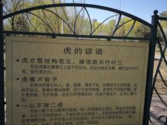 -哈尔滨大剧院