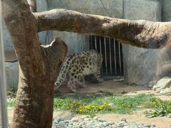-青藏高原野生动物园