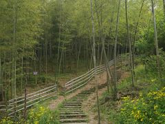 -宁波浙东大竹海景区