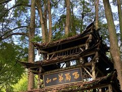 -青城山