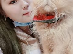 -猫色咖啡·猫咖