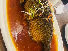 -津菜宋记老房子(鼓楼店)