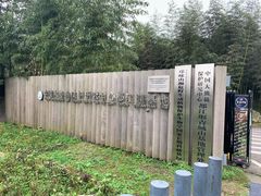 -都江堰中华大熊猫苑