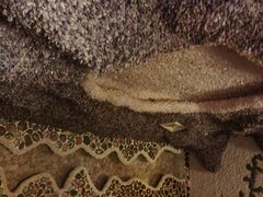 -碧中海汤泉汗蒸酒店