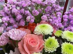 -福田家月子中心 产后 月嫂(市立母子医院店)