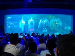 -威海华夏城景区