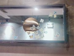 -香巴拉云南餐厅(华莱坞店)