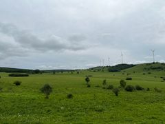 -塞罕坝国家级自然保护区