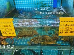 -坛南湾阿强农家乐.海鲜大排档老字号(福州地标美食店)