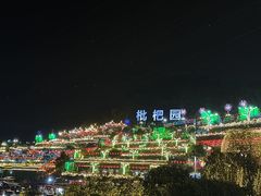 -枇杷园食为鲜火锅(南山店)