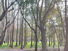 -蜀冈西峰生态公园