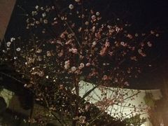 -京杭上院·河景花园餐厅·杭帮菜名店